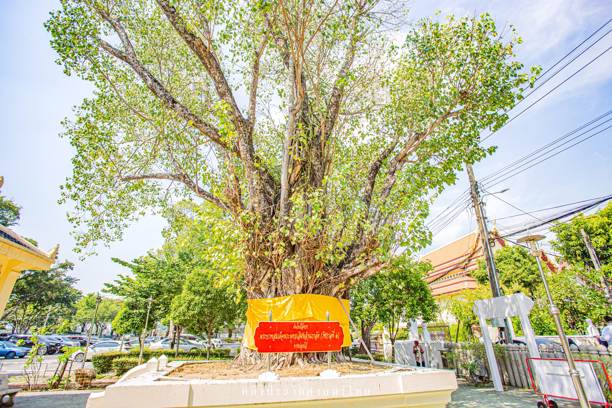 โพธิ์ลังกา